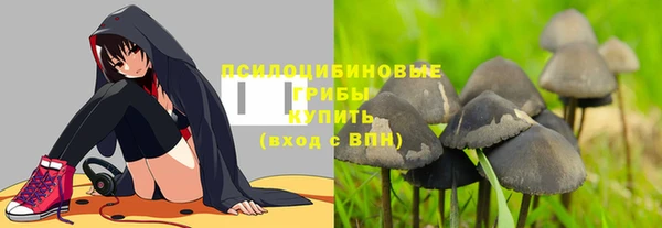 mix Кодинск