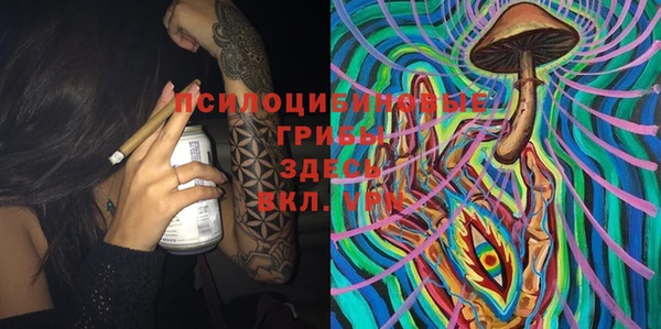 прущий лед Козельск