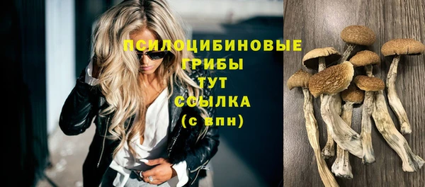 прущий лед Козельск