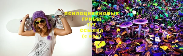 прущий лед Козельск